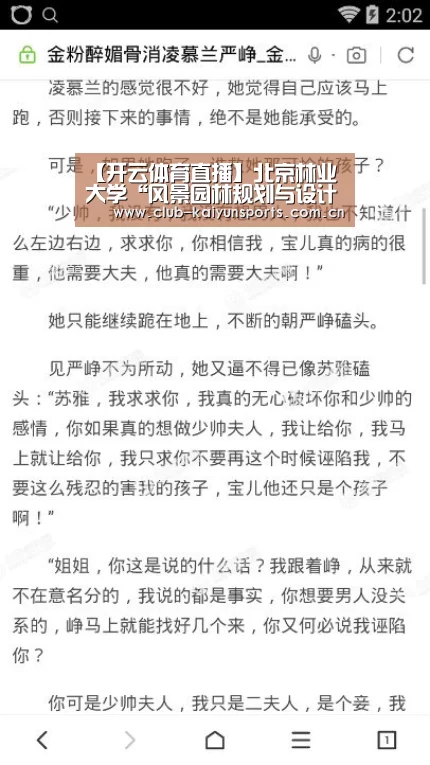 开云赛事