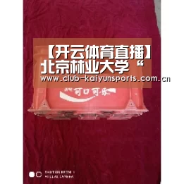 开云官网导航