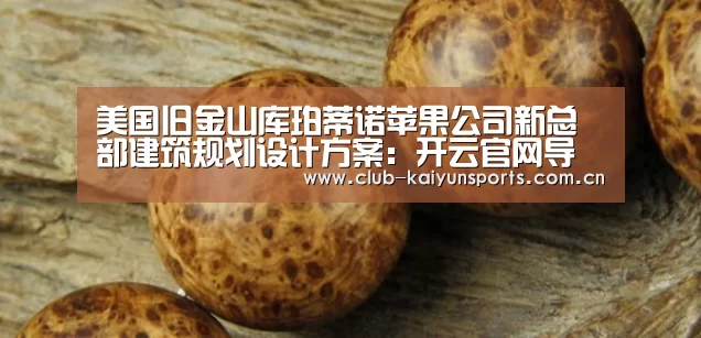 美国旧金山库珀蒂诺苹果公司新总部建筑规划设计方案:开云官网导航(图3) KAIYUN官网