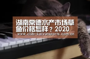 KAIYUN官网