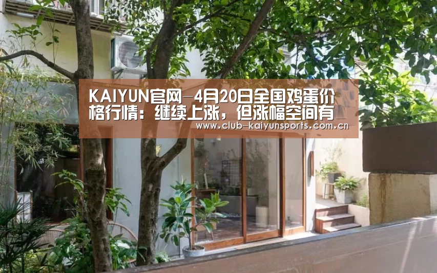 开云体育直播