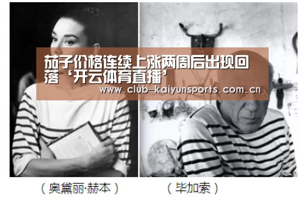 KAIYUN官网