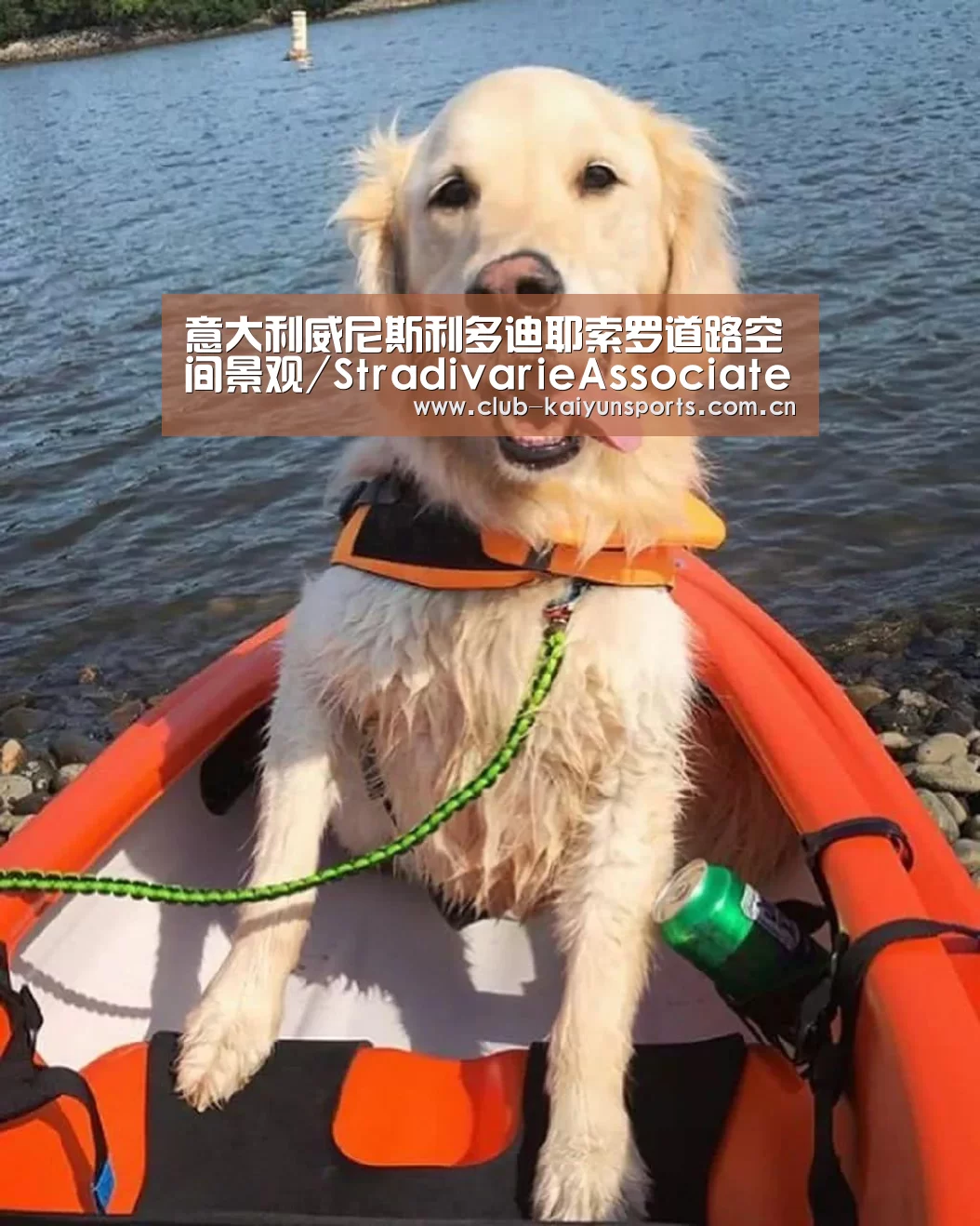 开云体育直播